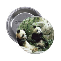 Essender und spielender Pandabär Buttons