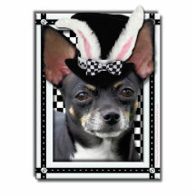 Etwas Häschen-Lieben Sie - Chihuahua Acryl Ausschnitte