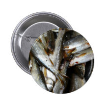 Europäischer Hechtminnow-Fische Buttons