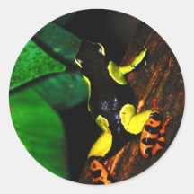 Exotischer Frosch Runde Sticker