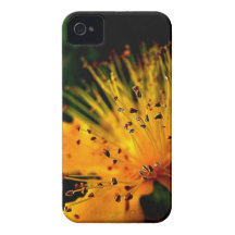 Explosion iPhone 4 Cover