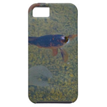 extravagante Goldfische Etui Fürs iPhone 5