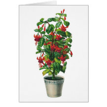Extravaganter Blumen-Topf Notecard Karten