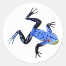 Extravaganter Frosch Runder Aufkleber