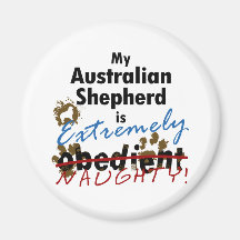 Extrem frecher australischer Schäfer Magnete