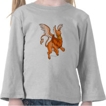Eyrie-Orange Shirt
