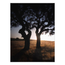 F.01.S - Last Light Kunst Foto