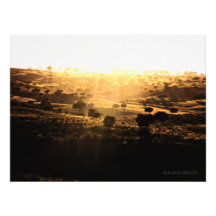 F.02.M - Last Light II Kunstfoto