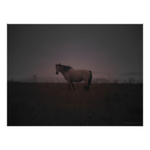 F.03.L - Whiter Spirit Fotodrucke