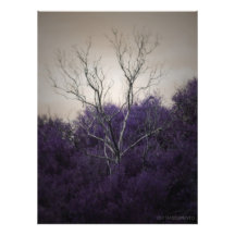 F.07.M - Summer Night Kunstphotos