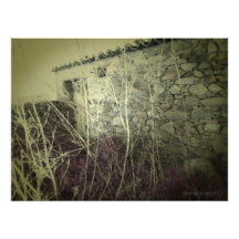 F.09.M - Ruin Photographien