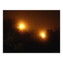 F.10.S - Night Fog Photographien