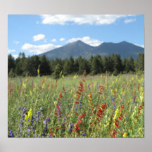 Fahnenmast-Wildblumen Posterdruck