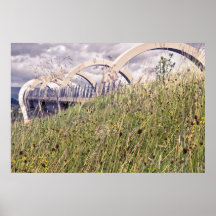 Falkirk Rad Posterdruck