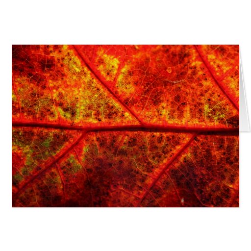 Fall-Blatt Karten