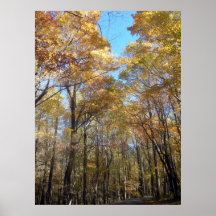 Fall-Farbe entlang der Fahrbahn Plakat