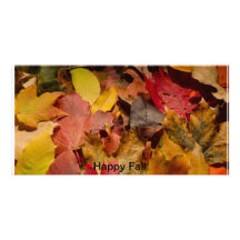 Fall-Foto-Karte Photo Grußkarte