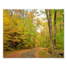 Fall-Hinterfoto