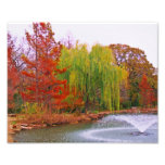Fall in ein Park Foto