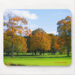 Fall in New York mousepad Entwurf