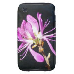 Fall Iphone3 mit Lambskill Entwurf Tough iPhone 3 Etuis