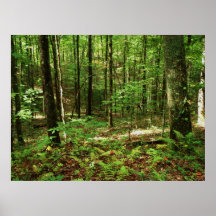 Fall Plakat