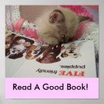 fallende schlafende Lesung ein gutes Buch!! PLAKAT
