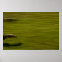 Fangen Sie mich, wenn Sie können! Poster