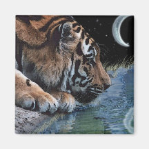 Fantasie-Tiger u. Mond Kühlschrankmagnete