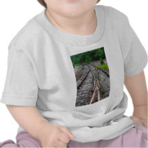 FAP307 T-SHIRTS
