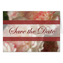 Fast weiße Gartennelken 7 Save the Date Wedding Grußkarten