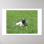 Fauler Tag Plakatdrucke