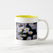 Faules Gänseblümchen Tee Haferl
