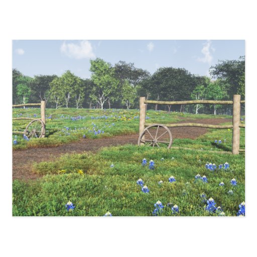 Feld der Bluebonnets-Postkarte