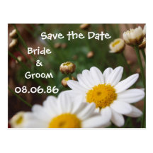 Feld der Gänseblümchen Save the Date Postkarten
