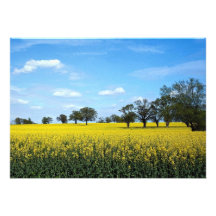 Feld des Raubs, Surrey, England Individuelle Einladungen