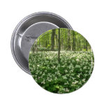 Feld des Weiß A von Trilliums, Niagara- FallsBlume Button