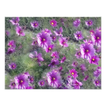 Feld von Blumen Druck Fotografien