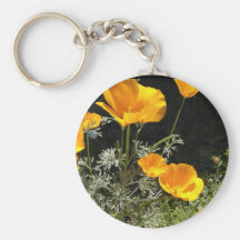 Feld von CA-Mohnblumen Schlüsselbänder