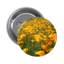 Feld von Träumen Buttons