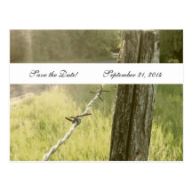 Fencepost Stacheldraht rustikal Save the Date Postkarten