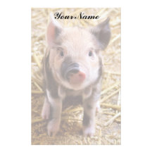 Ferkel Druckpapiere