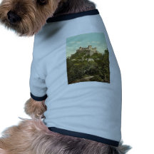 Festung Hoch-Salzburg (d.h., Hohensalzburg), Salz Haustier T-shirts