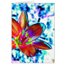 Feuer Blume Grußkarte