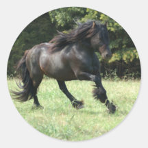 Fiel PonyStallion Runde Sticker