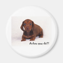„findest du von dass das? magnets