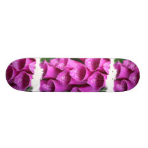 Fingerhut-PflanzeSkateboard Individuelle Skatedecks