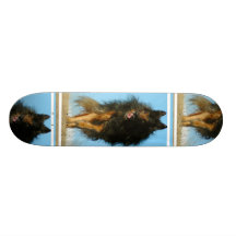 Finnisches Lapphund HundeSkateboard Bedruckte Skateboarddecks