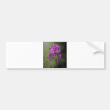Fireweed Autosticker