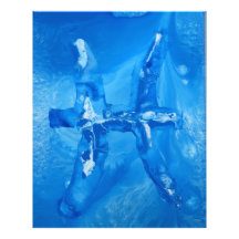 Fische Photographischer Druck